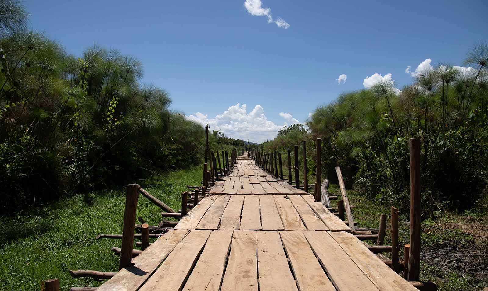 Photo of footbridge connecting mainland with Lunkulu Island